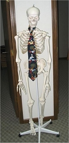 Alternative HealthCare Solutions