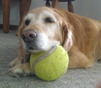 Bailey